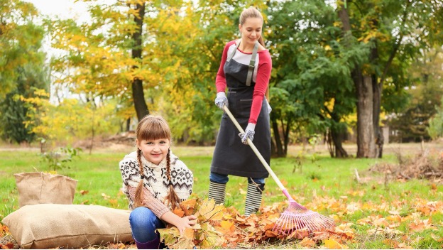 Raking, Lifting, and Hanging Lights: How to Protect Your Back This Fall
